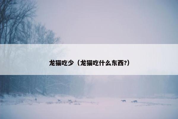 龙猫吃少（龙猫吃什么东西?）