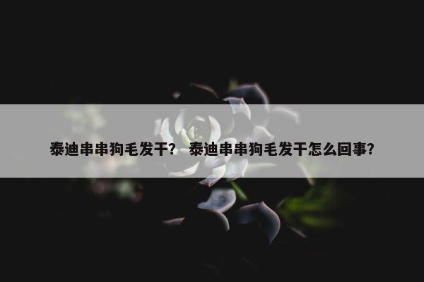 泰迪串串狗毛发干？ 泰迪串串狗毛发干怎么回事？