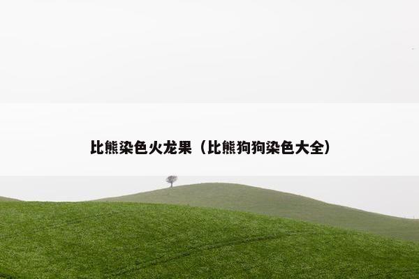 比熊染色火龙果（比熊狗狗染色大全）