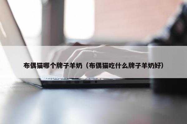 布偶猫哪个牌子羊奶（布偶猫吃什么牌子羊奶好）