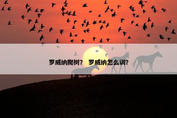 罗威纳爬树？ 罗威纳怎么训？