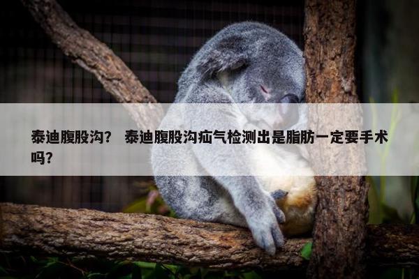 泰迪腹股沟？ 泰迪腹股沟疝气检测出是脂肪一定要手术吗？