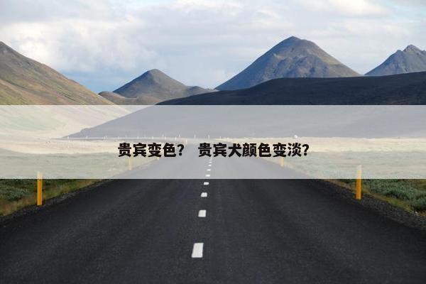 贵宾变色？ 贵宾犬颜色变淡？