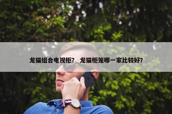 龙猫组合电视柜？ 龙猫柜笼哪一家比较好？