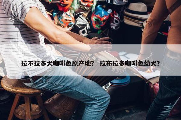 拉不拉多犬咖啡色原产地？ 拉布拉多咖啡色幼犬？