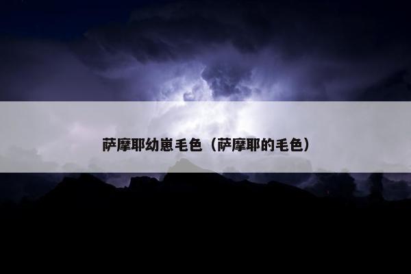 萨摩耶幼崽毛色（萨摩耶的毛色）