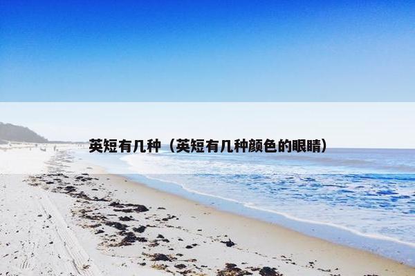 英短有几种（英短有几种颜色的眼睛）
