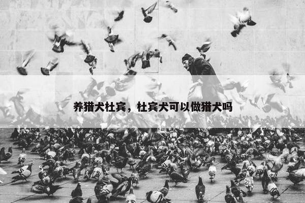 养猎犬杜宾，杜宾犬可以做猎犬吗