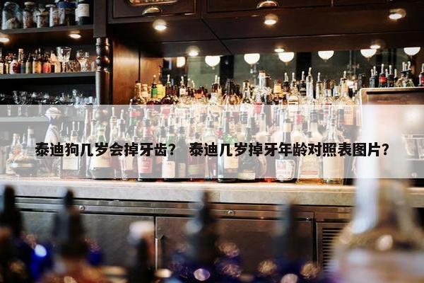 泰迪狗几岁会掉牙齿？ 泰迪几岁掉牙年龄对照表图片？