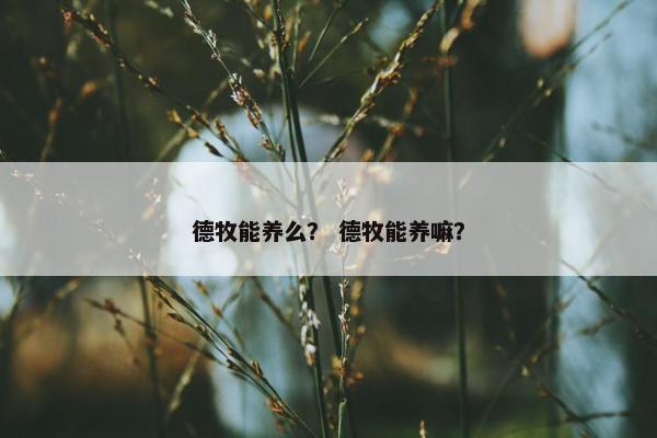 德牧能养么？ 德牧能养嘛？