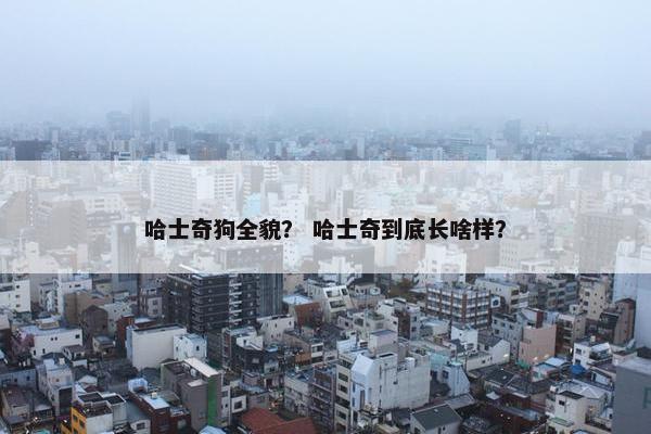 哈士奇狗全貌？ 哈士奇到底长啥样？
