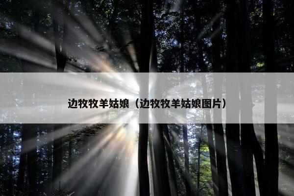 边牧牧羊姑娘（边牧牧羊姑娘图片）