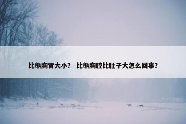 比熊胸背大小？ 比熊胸腔比肚子大怎么回事？