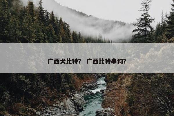 广西犬比特？ 广西比特串狗？