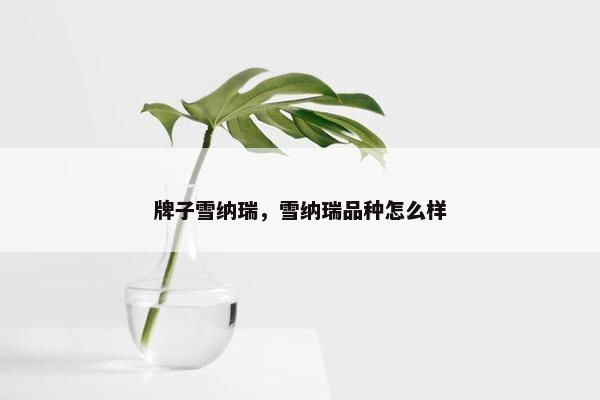 牌子雪纳瑞，雪纳瑞品种怎么样