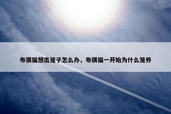 布偶猫想出笼子怎么办，布偶猫一开始为什么笼养