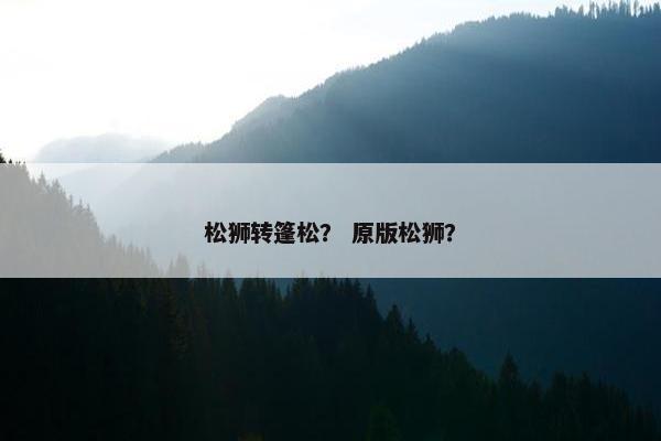 松狮转篷松？ 原版松狮？