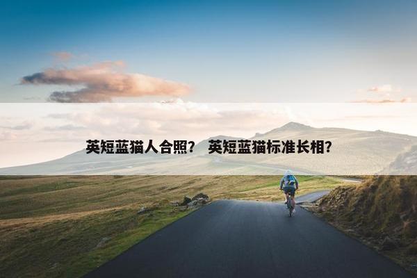 英短蓝猫人合照？ 英短蓝猫标准长相？