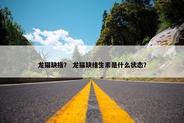 龙猫缺指？ 龙猫缺维生素是什么状态？