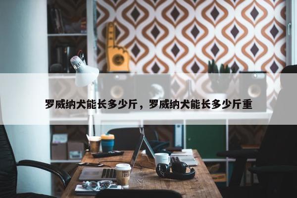 罗威纳犬能长多少斤，罗威纳犬能长多少斤重