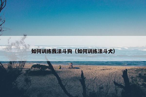如何训练我法斗狗（如何训练法斗犬）
