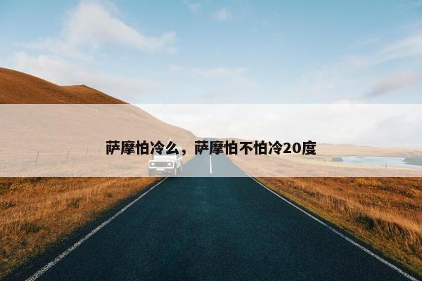 萨摩怕冷么，萨摩怕不怕冷20度