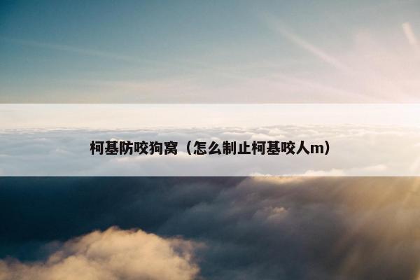 柯基防咬狗窝（怎么制止柯基咬人m）