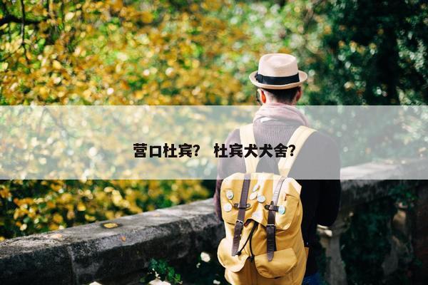 营口杜宾？ 杜宾犬犬舍？