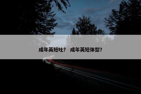 成年英短吐？ 成年英短体型？