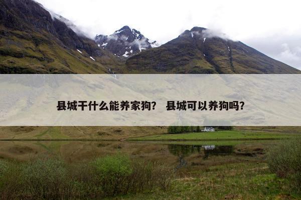 县城干什么能养家狗？ 县城可以养狗吗？
