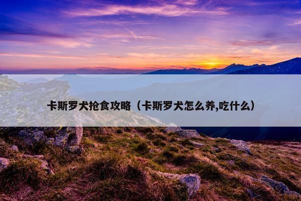 卡斯罗犬抢食攻略（卡斯罗犬怎么养,吃什么）