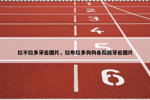 拉不拉多牙齿图片，拉布拉多狗狗各阶段牙齿图片
