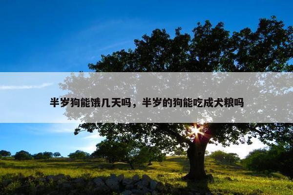 半岁狗能饿几天吗，半岁的狗能吃成犬粮吗