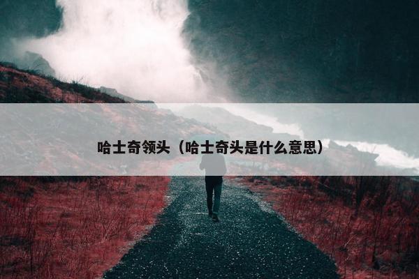 哈士奇领头（哈士奇头是什么意思）