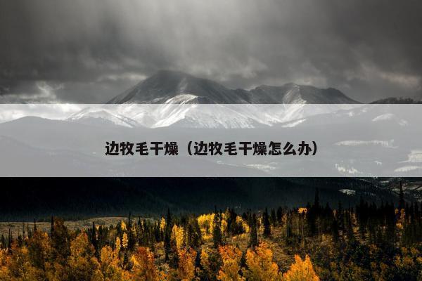 边牧毛干燥（边牧毛干燥怎么办）