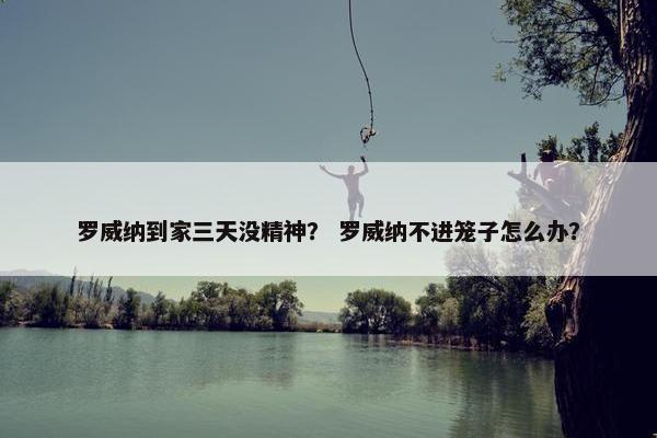 罗威纳到家三天没精神？ 罗威纳不进笼子怎么办？