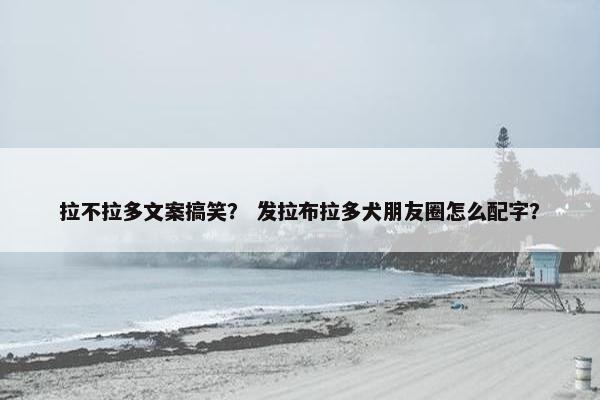 拉不拉多文案搞笑？ 发拉布拉多犬朋友圈怎么配字？