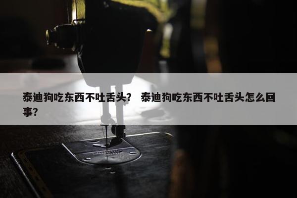 泰迪狗吃东西不吐舌头？ 泰迪狗吃东西不吐舌头怎么回事？