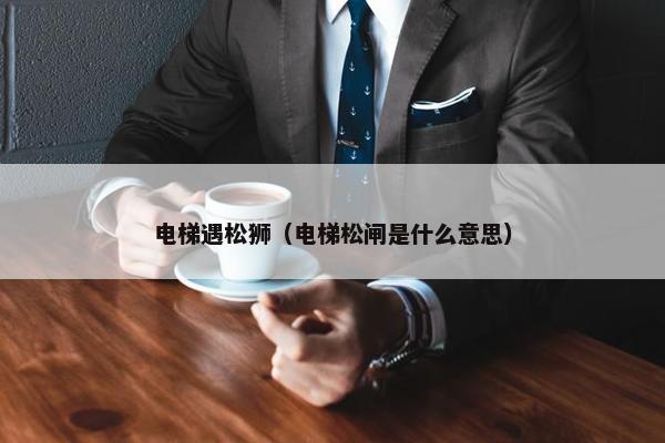电梯遇松狮（电梯松闸是什么意思）