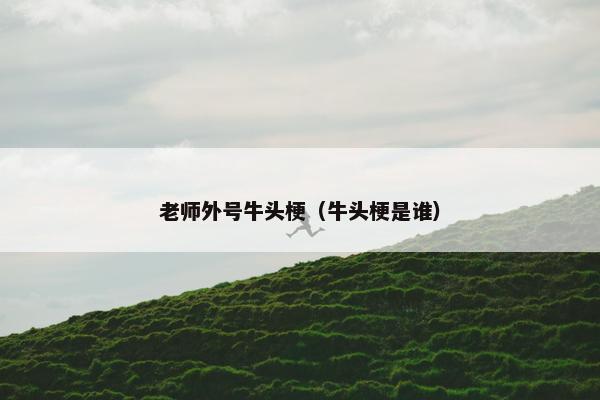 老师外号牛头梗（牛头梗是谁）