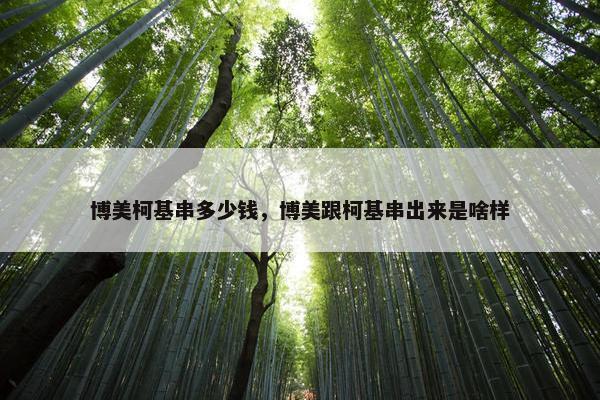 博美柯基串多少钱，博美跟柯基串出来是啥样