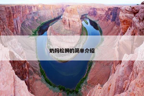 奶妈松狮的简单介绍
