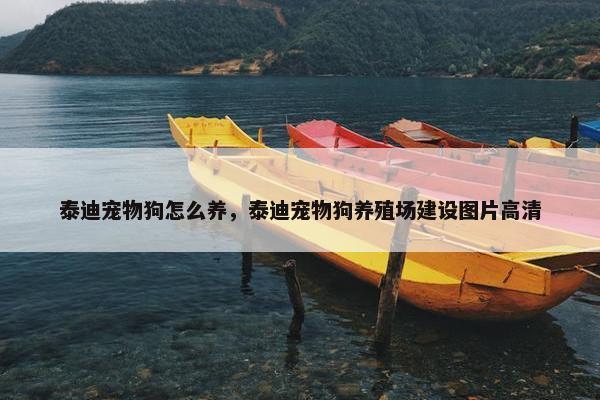 泰迪宠物狗怎么养，泰迪宠物狗养殖场建设图片高清