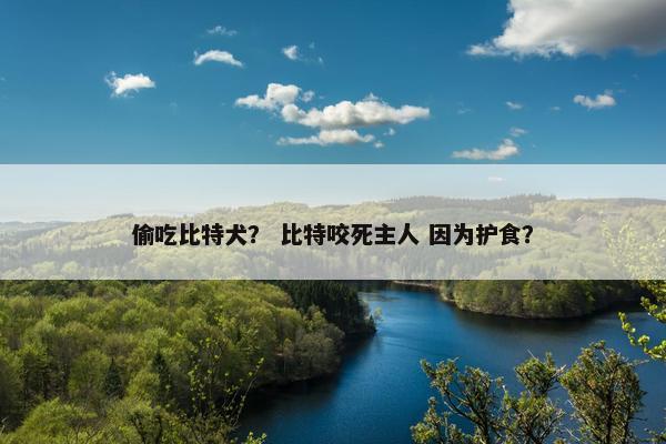偷吃比特犬？ 比特咬死主人 因为护食？