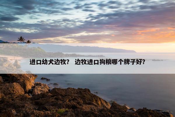 进口幼犬边牧？ 边牧进口狗粮哪个牌子好？