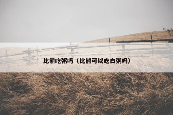 比熊吃粥吗（比熊可以吃白粥吗）