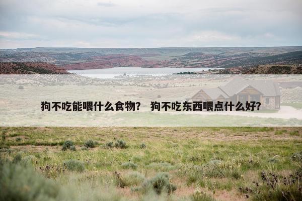 狗不吃能喂什么食物？ 狗不吃东西喂点什么好？