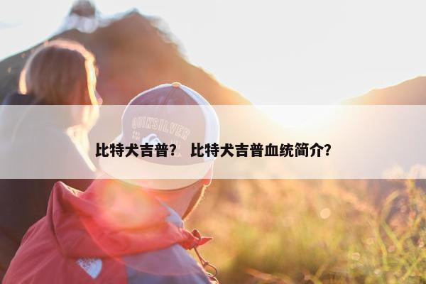 比特犬吉普？ 比特犬吉普血统简介？