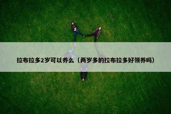 拉布拉多2岁可以养么（两岁多的拉布拉多好领养吗）