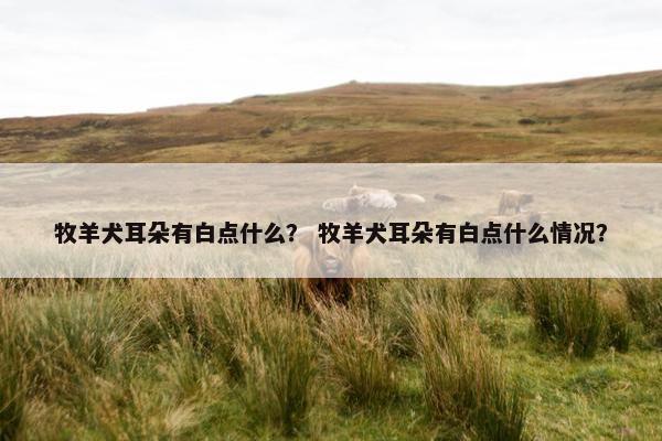 牧羊犬耳朵有白点什么？ 牧羊犬耳朵有白点什么情况？